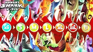 Hungry Shark World  All Sharks Info Echo [upl. by Lachance787]