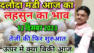 दलौदा मंडी आज का लहसुन का भाव 12 दिसंबर 2023 garlic rate today aaj ka lahsun ka bhav [upl. by Eenhpad]