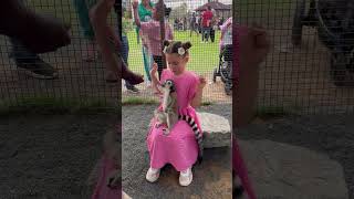 Precious Girl Startled of Jumping Lemurs at the Zoo [upl. by Adnamaa276]