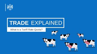 What is a Tariff Rate Quota [upl. by Talyah918]