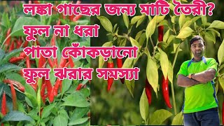 খুব সহজেই সারা বছর টবে লঙ্কা চাষ পদ্ধতি। complete care of chilli plant [upl. by Aiek]