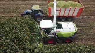 Loonbedrijf Sonnemans  Aflevering  CLAAS Jaguar 960  CLAAS ORBIS 600 [upl. by Netram]