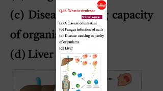 VIRULENCE rrbnursingexam nursingofficermcq staffnursepracticetest [upl. by Airednaxela768]