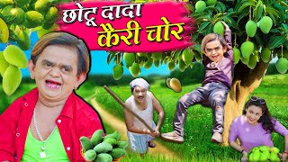 Chotu Dada Kairi Chor  छोटू दादा कैरी चोर  Khandesh Hindi Comedy  Chotu New Comedy 2024 [upl. by Anabahs]