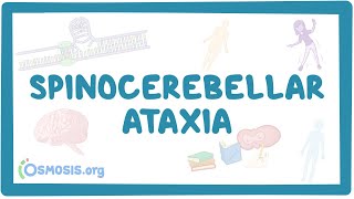 Spinocerebellar ataxia  causes symptoms diagnosis treatment pathology [upl. by Albert]