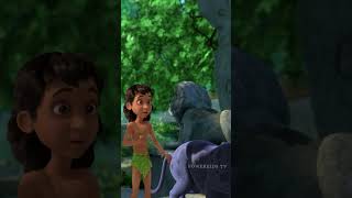 Sapera  mowgli junglebook ytshort ytshortsindia viralshort junglebookseason3 [upl. by Oremo]