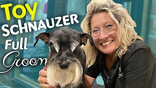 Miniature Schnauzer  Breed Standard TRIM instructional video [upl. by Ytak]