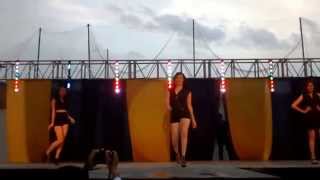 Coreografia despedida Corte Saliente  Reinas EPM 2013  2014 MIX Amsterdance [upl. by Asim495]