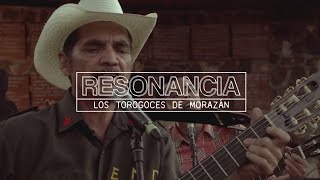 Torogoces de Morazán  Compa Roxana  Sesión Resonancia [upl. by Godred]