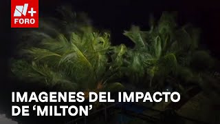 Así se sienten los fuertes vientos por huracán Milton en Celestún Yucatán  Las Noticias [upl. by Ahsikahs]