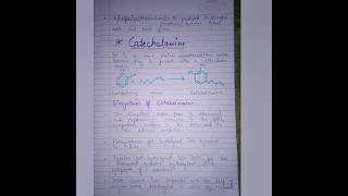 CatecholamineBiosynthesis and catabolism notespharmacy medicinalchemistrybpharm4thsem bpharma [upl. by Jareen]