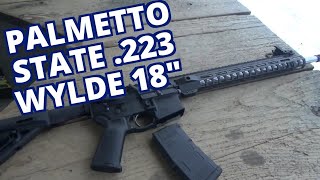 Palmetto State AR15 18quot 223 Wylde First Shots Review [upl. by Four748]