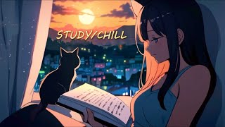 Lofi studyrelax to 🌃📖  Lofi Seminar radio 📻 [upl. by Olyhs]