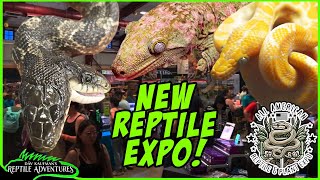 TOURING A NEW REPTILE EXPO  All American Reptile and Plant Expo Denver Co [upl. by Jean-Claude]