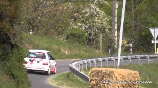 Rallye des coteaux du layon 2014 [upl. by Suzette964]