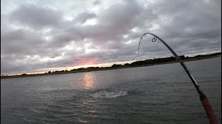 Noreaster Mullet Run  Topwater Stripers Tight to Shore [upl. by Enileve657]