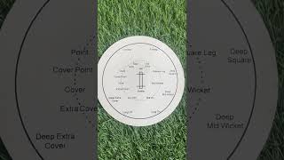 Cricket all fielding positions [upl. by Atener15]