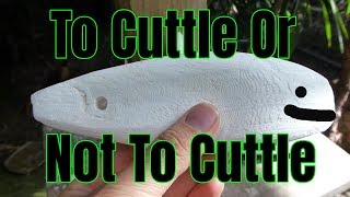 Why You Should Give Your Birds Cuttlebone [upl. by Crescentia]