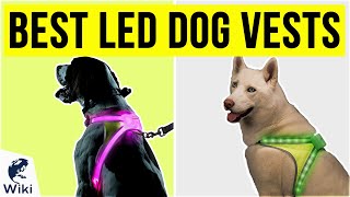 8 Best LED Dog Vests 2020 [upl. by Dell948]