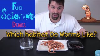 Which Habitat Do Worms Like [upl. by Hewe]