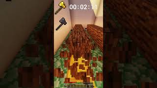 Atlın Balta VS Netherite Balta minecraft minecraftbuilds minecrafttutorial minecraftshorts [upl. by Alet649]