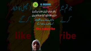 islam ki shan shorts surahbaqarahkitilawat surahbaqarahayat64to66 [upl. by Adnavoj]