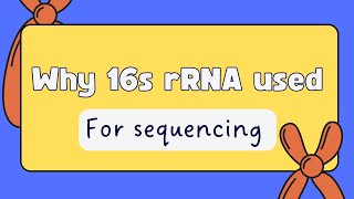 why 16s r RNA might be used in sequencing as a molecular marker [upl. by Akeenahs]