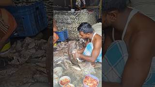 sortvideopodda nodi ilish khaiyasortvideo viralvideo viralsong MD samidul 👍 [upl. by Rouvin]