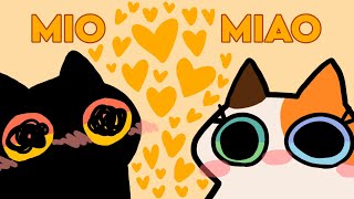 MIO MIAO [upl. by Hutton]