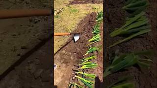 Amazing Tools in the world  most important tools shorts nature humor [upl. by Omer]