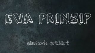 EVA Prinzip einfach erklärt [upl. by Nylaj]