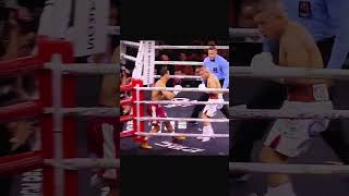 Chihuahua Cruz boxing isaaccruz rollyromero [upl. by Solram]