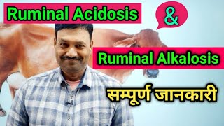 Ruminal Acidosis in Cattle Ruminal Alkalosis in Cattle Ramawat Vets Club [upl. by Nanine536]