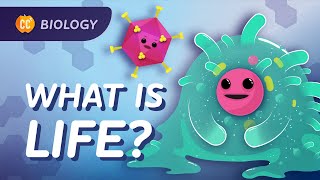 Introduction to Biology Crash Course Biology 1 [upl. by Xila782]