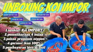 UNBOXING KOI IMPORTMOMOTAROYAMAJUOMOSAKOMARUSAIamp OTSUKA‼️PEMBAYARAN BISA DI CICIL‼️AZUKARI 2 [upl. by Erusaert912]