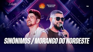 Fernando e Fabiano  Sinônimos  Morango do Nordeste De Leve Ao Vivo [upl. by Olnton746]