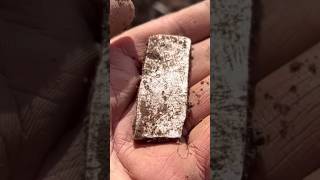 2000 YEAR OLD SILVER Metal detecting find of a LIFETIME [upl. by Nyleahcim772]