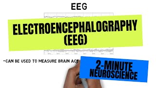 2Minute Neuroscience Electroencephalography EEG [upl. by Jeth]