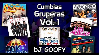 DJ GOOFY  Cumbias Gruperas Video Megamix 1 [upl. by Yor633]