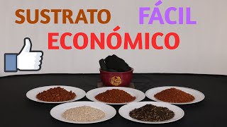 Qué SUSTRATO uso ECONÓMICO y FÁCIL de realizar [upl. by Durwyn]