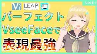 【パーフェクトシンクVseeFace】パーフェクトシンクで表情がさらに豊かになったよ！！【VRoid Studio】 [upl. by Dunstan367]