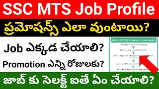 SSC MTS Job Profile  SSC Multi Tasking Staff Job profile in telugu  Job profile of MTS Job [upl. by Leihcey]