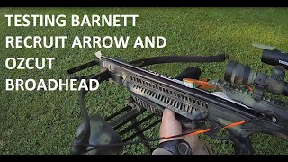 Barnett Blackcat RECRUIT ARROW with Ozcut Broadhead [upl. by Anauq]