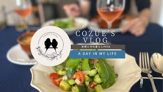 夫婦と犬の暮らし〜cozues vlog vol036 【簡単レシピ】鶏肉ときのこのグラタン  自家製ベシャメルソース [upl. by Mazurek]