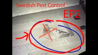 SAF Swedish pestcontrol 2  South SwedenNovember 2024 [upl. by Molloy]