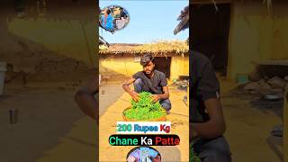 ₹200 Kg Chane Ka Patta 🌿 Ep5 newminivlog vlog minivlog shorts [upl. by Mcferren953]