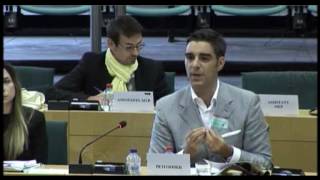 quotFATCA infringements on EU rightsquot petition hearing at the European Parliament [upl. by Atnoid210]