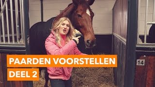 Paarden voorstellen deel 2 l PaardenpraatTV [upl. by Naltiak]