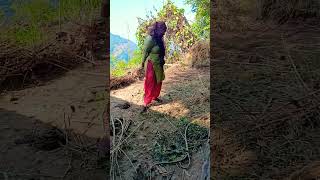 Village Life style 💞💞💞masti trending funny ytshorts viralvideo [upl. by Ayirp]