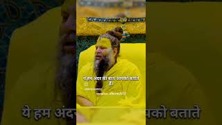 Premanand Maharaj ji 🙏🙏 premanandjimaharaj krishna trending viral [upl. by Ailis]